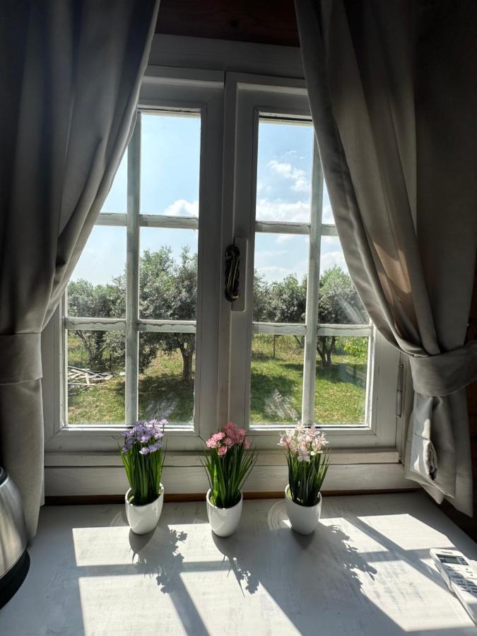 Seyyah Cafe Bungalows Aliaga Εξωτερικό φωτογραφία